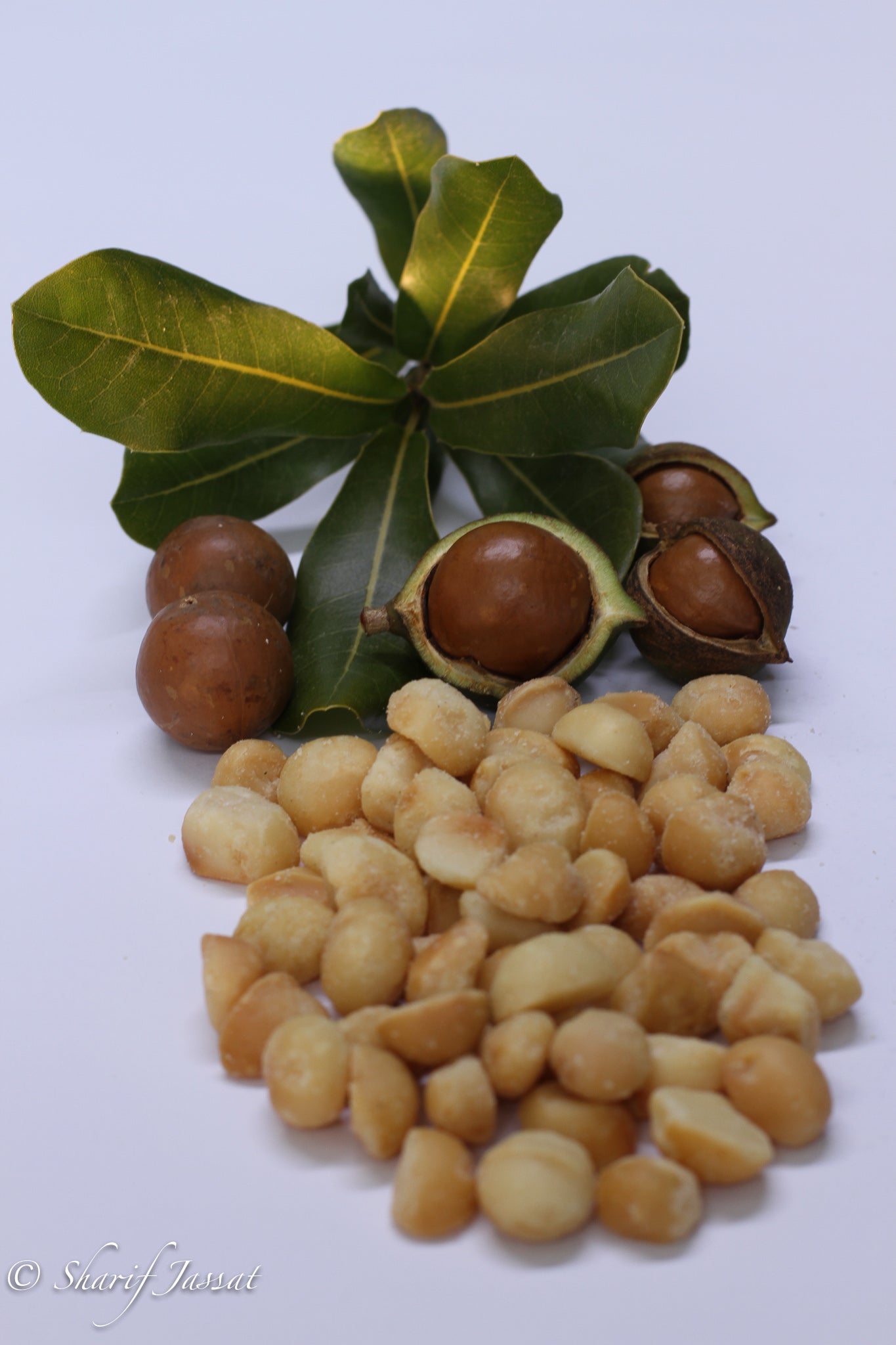 Dry Roasted Macadamia Nuts (No Salt) - Macnuts