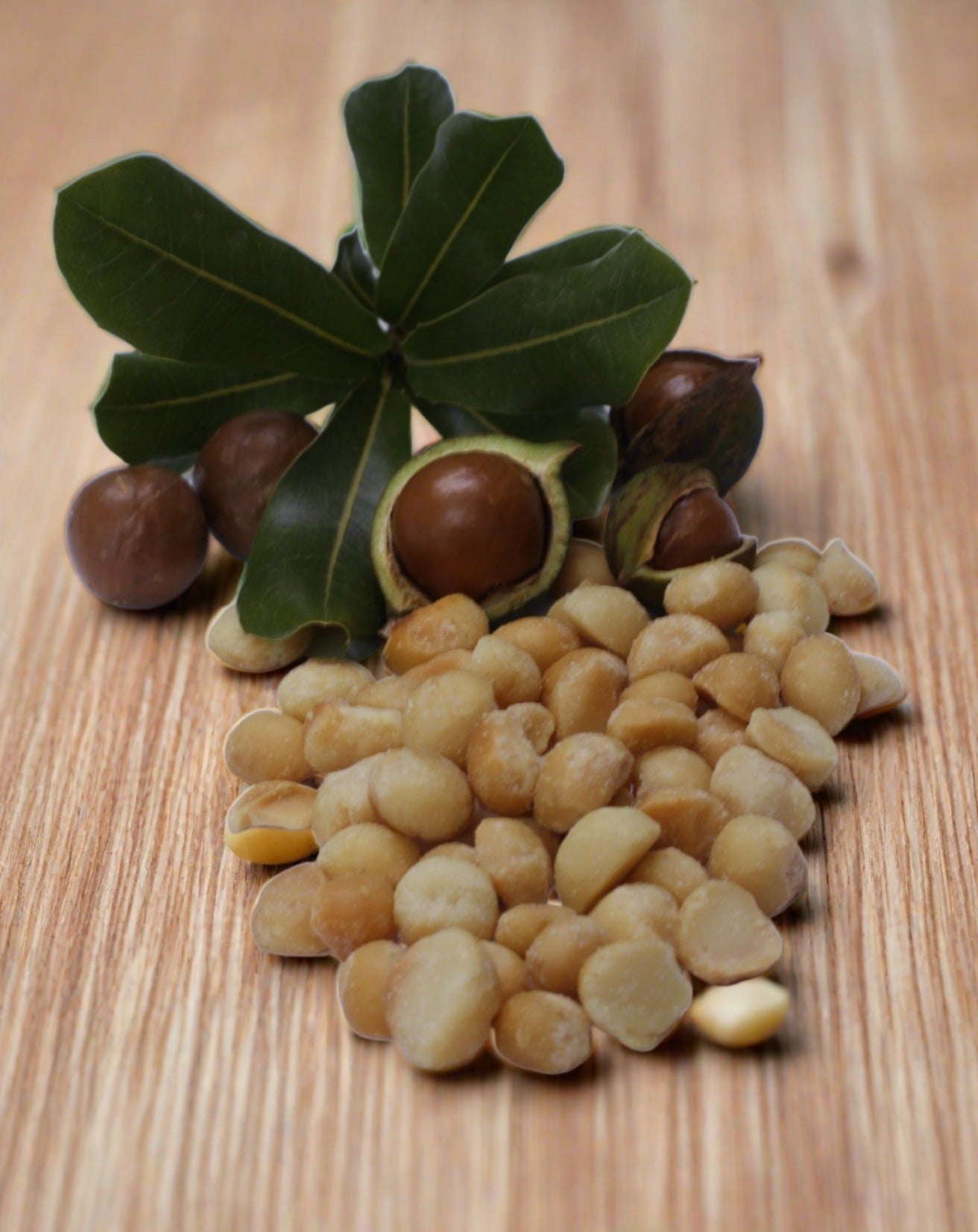 Natural Macadamias with unprocessed nuts and leaves.