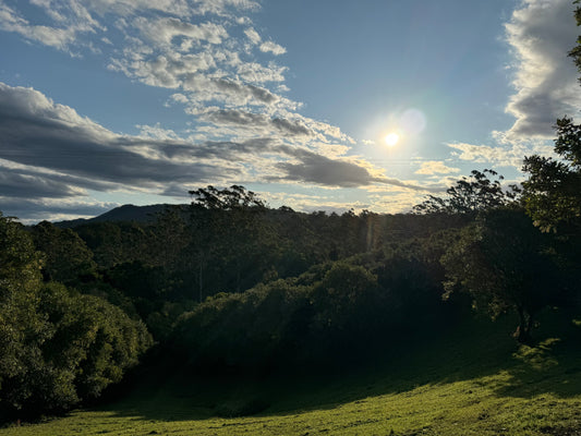 From the Farm to Your Table - 100% Australian Macadamias