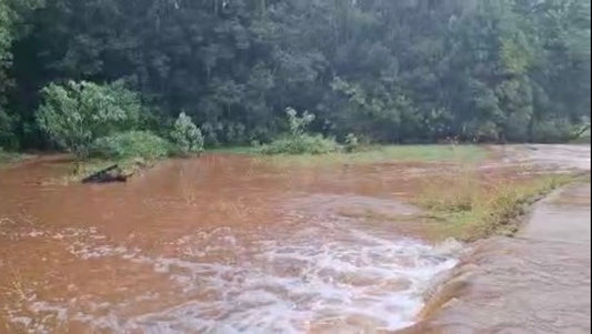 Nambucca Valley Macadamia Farmers Facing Flood Devastation