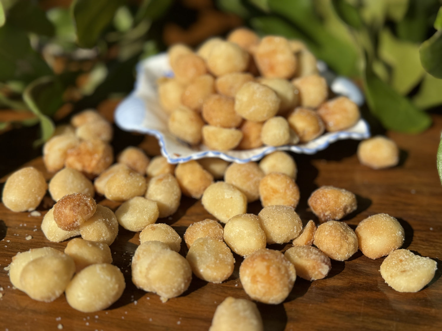 Looking down on the macadamia orchard through the trees on a clear blue day in the Nambucca Valley.