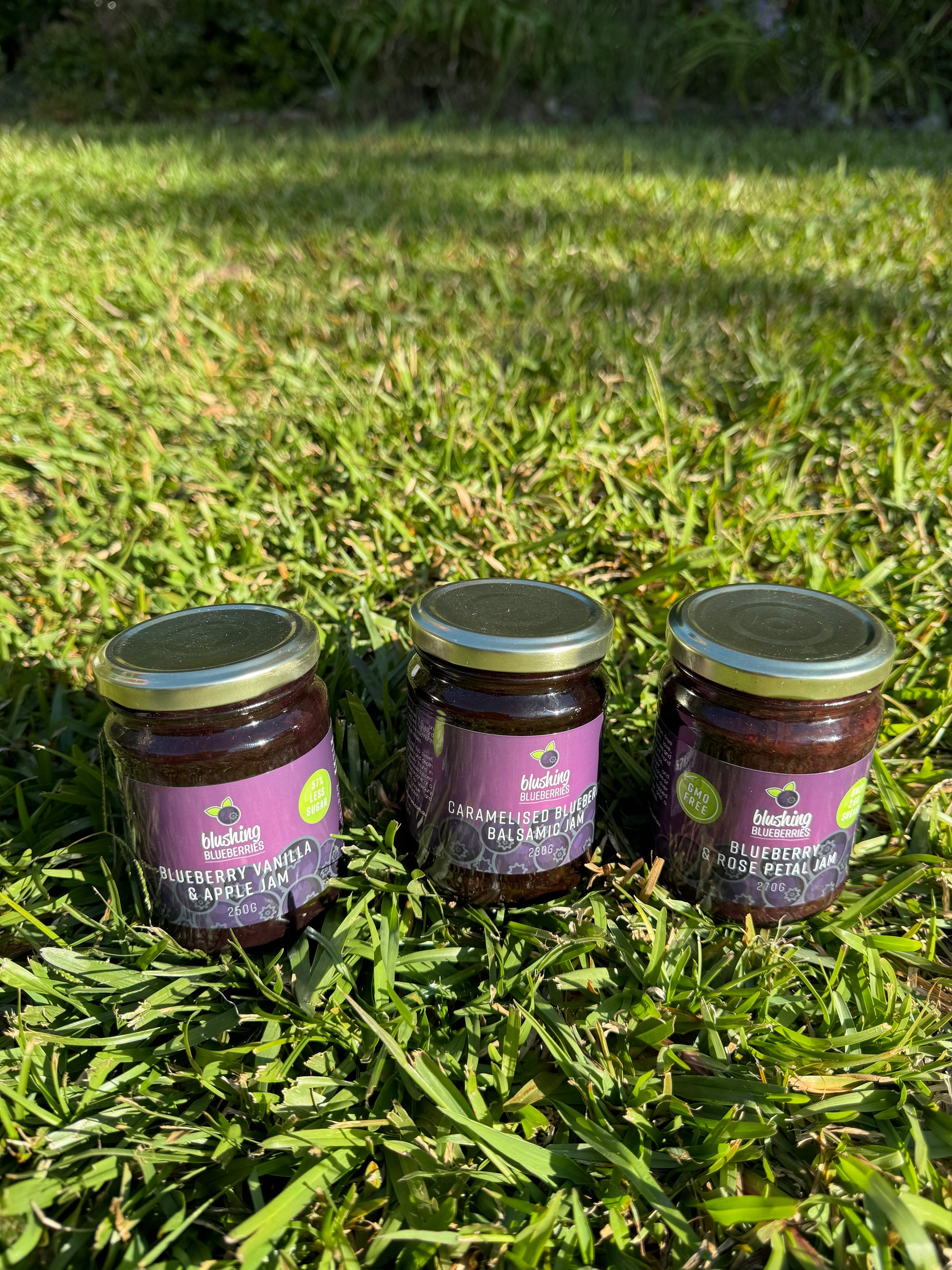 Blushing Blueberries trio of jams - blueberry vanilla and apple; caramelised bluerriy balsamic; blueberry and rose petal - Macnuts