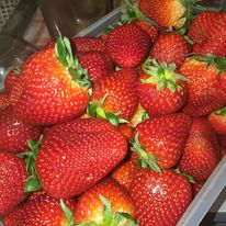 These strawberries look great, and we reckon they taste even better in Rainbow Valley's jam - Macnuts